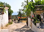 Maries Zakynthos | Griekenland | De Griekse Gids nr3