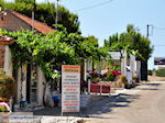 Maries Zakynthos | Griekenland | De Griekse Gids nr4