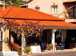 Agios Leon Zakynthos | Griekenland | De Griekse Gids nr2