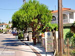 Agios Leon Zakynthos | Griekenland | De Griekse Gids nr4