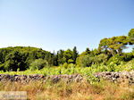 Agios Leon Zakynthos | Griekenland | De Griekse Gids nr5
