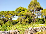 Agios Leon Zakynthos | Griekenland | De Griekse Gids nr6