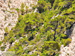 Bij de grotten van Keri | Zakynthos | foto 10