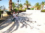 Zakynthos stad | Griekenland | De Griekse Gids nr 6