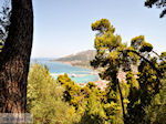 Zakynthos stad | Griekenland | De Griekse Gids nr 56
