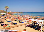 St Nicolas Bay Vassilikos | Zakynthos | De Griekse Gids nr 27