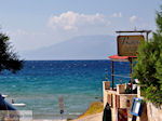 Psarou Beach Zakynthos | Griekenland | De Griekse Gids nr 1